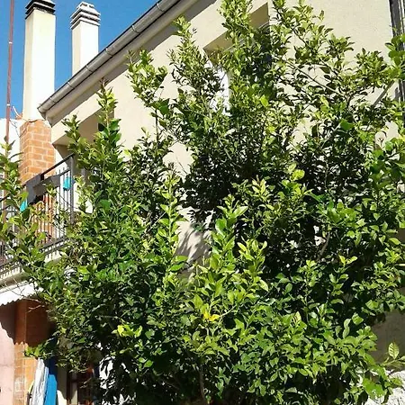 Wolverine Apartamento