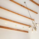 Wolverine Appartement *