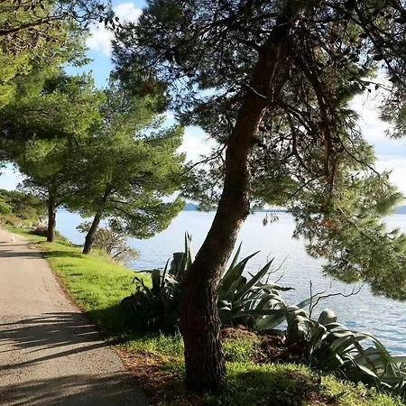 Daire Wolverine Zadar