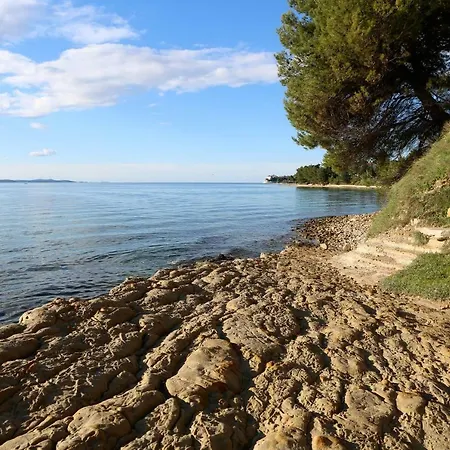 Daire Wolverine Zadar