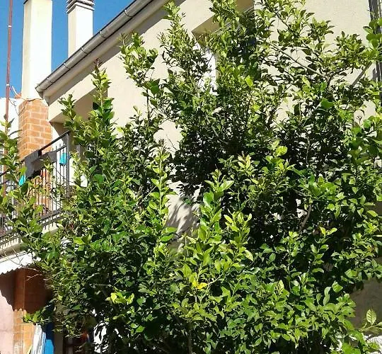 Wolverine Apartament