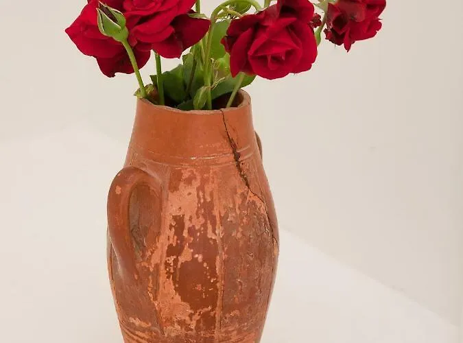 Apartament Wolverine